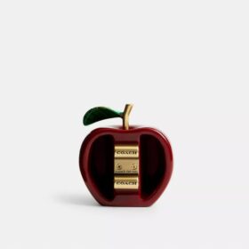 Apple-sko-Anheng