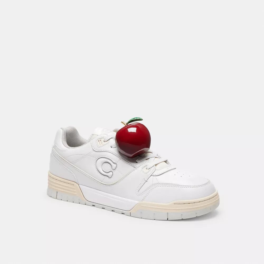 Apple-sko-Anheng