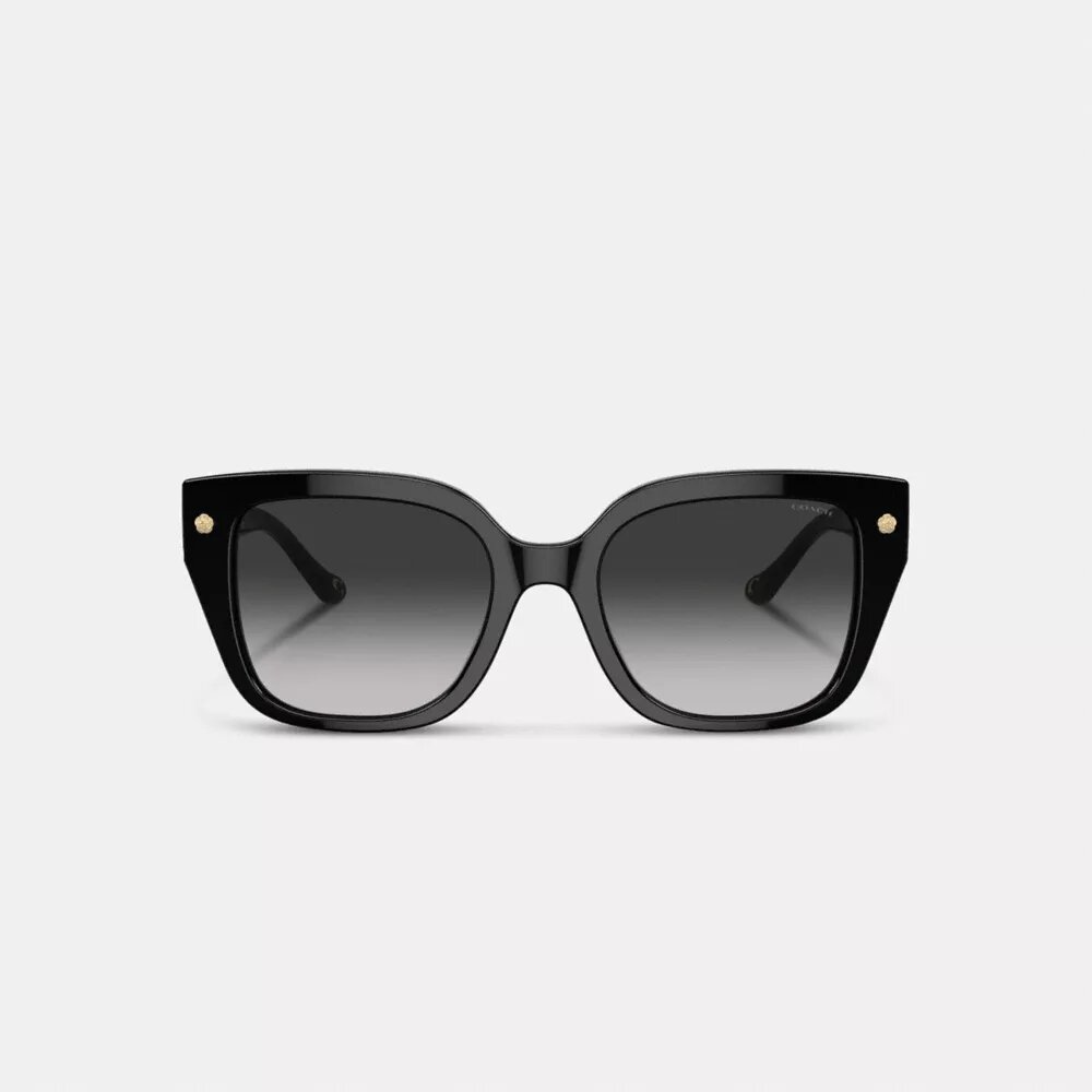 Charms Oversized Square solbriller