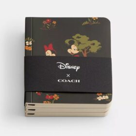 Disney X Coach mini-notatbok-sett med Mikke Mus og vennene hans