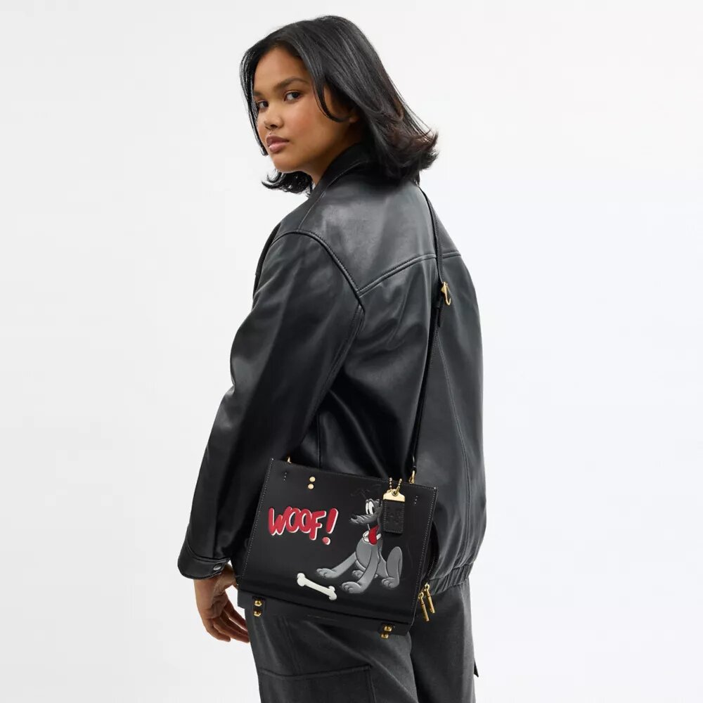 Disney X Coach Rogue-vesker 25 med Pluto