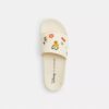 Disney X Coach Udele Sportslides med klistremerketrykk