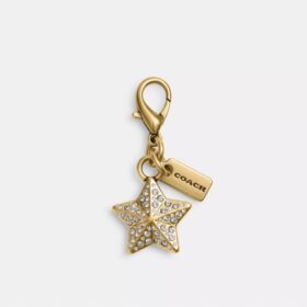 DIY-krystallstjerne-anheng