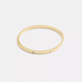 Essential armbånd med hengsel