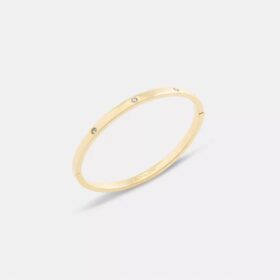 Essential armbånd med hengsel