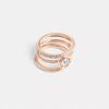 Halo Tea Rose-ringsett