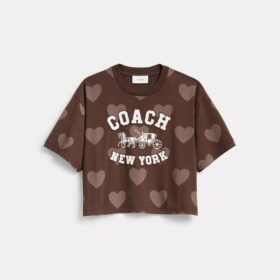 Horse and Carriage med hjerte – kort T-shirt i økologisk bomull