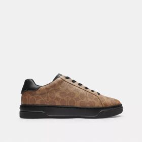 Høye sneakers i Signature Canvas