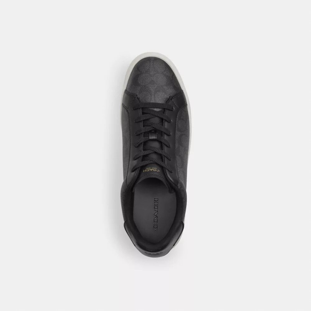Høye sneakers i Signature Canvas