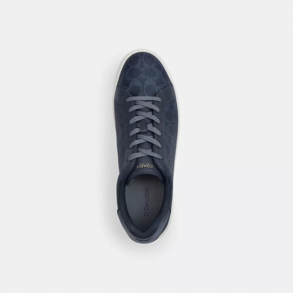 Høye sneakers i Signature Canvas