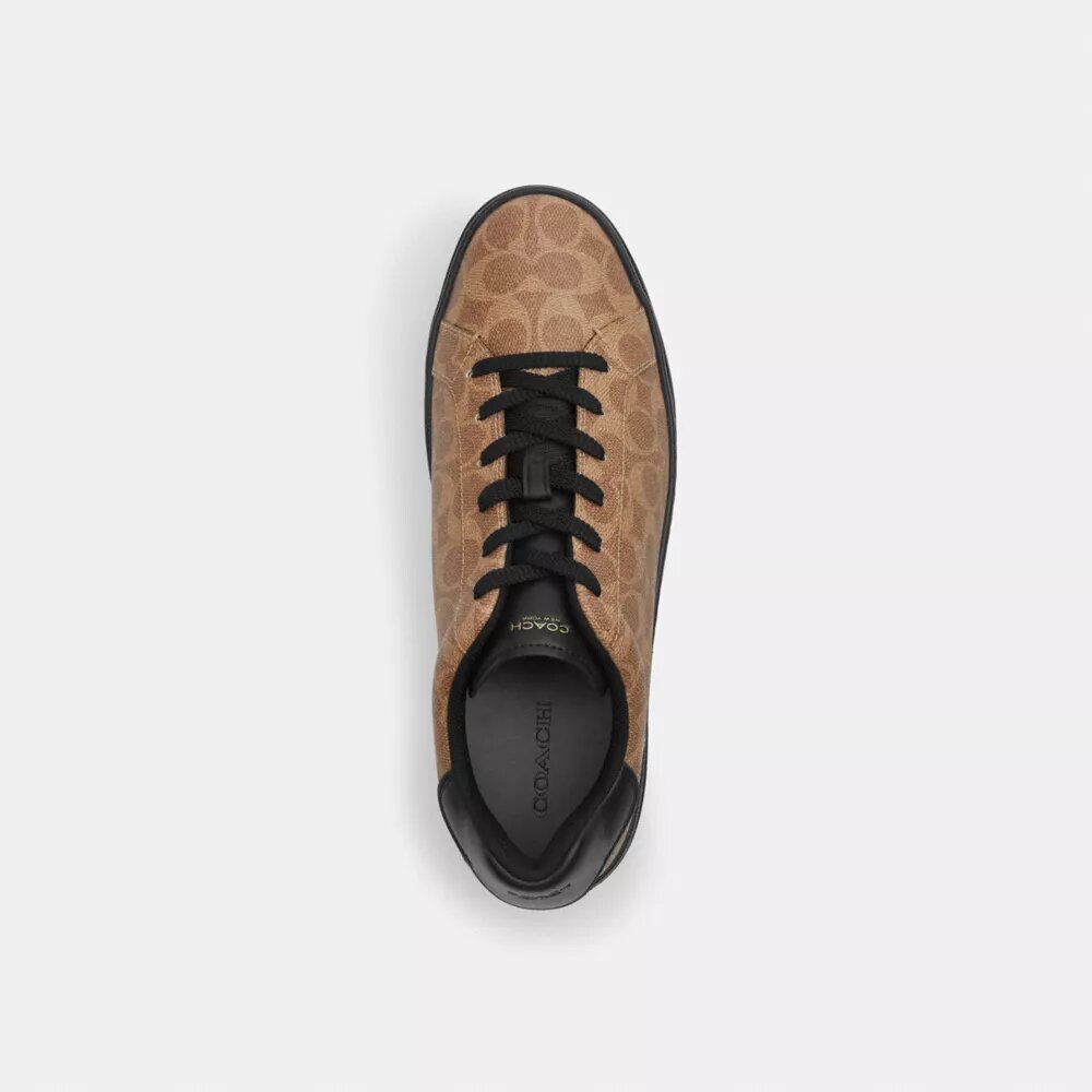 Høye sneakers i Signature Canvas