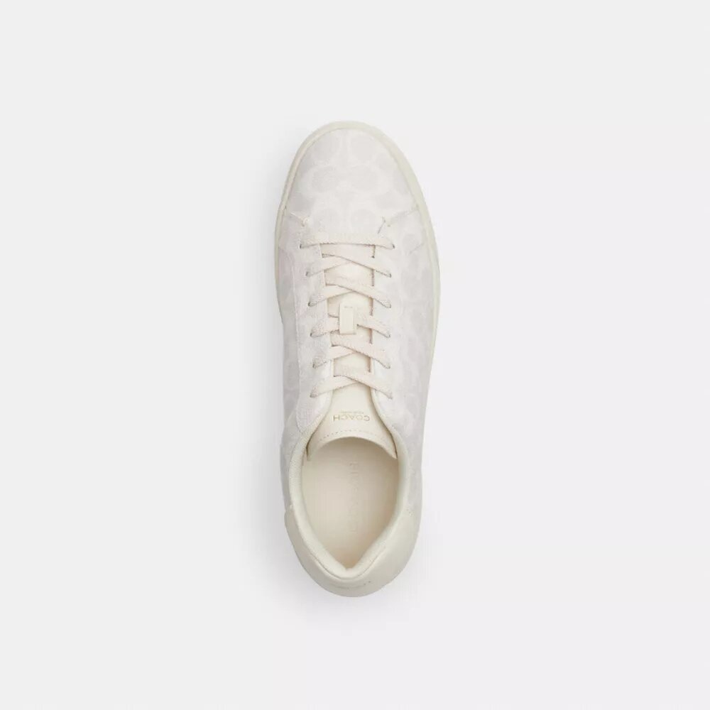 Høye sneakers i Signature Canvas