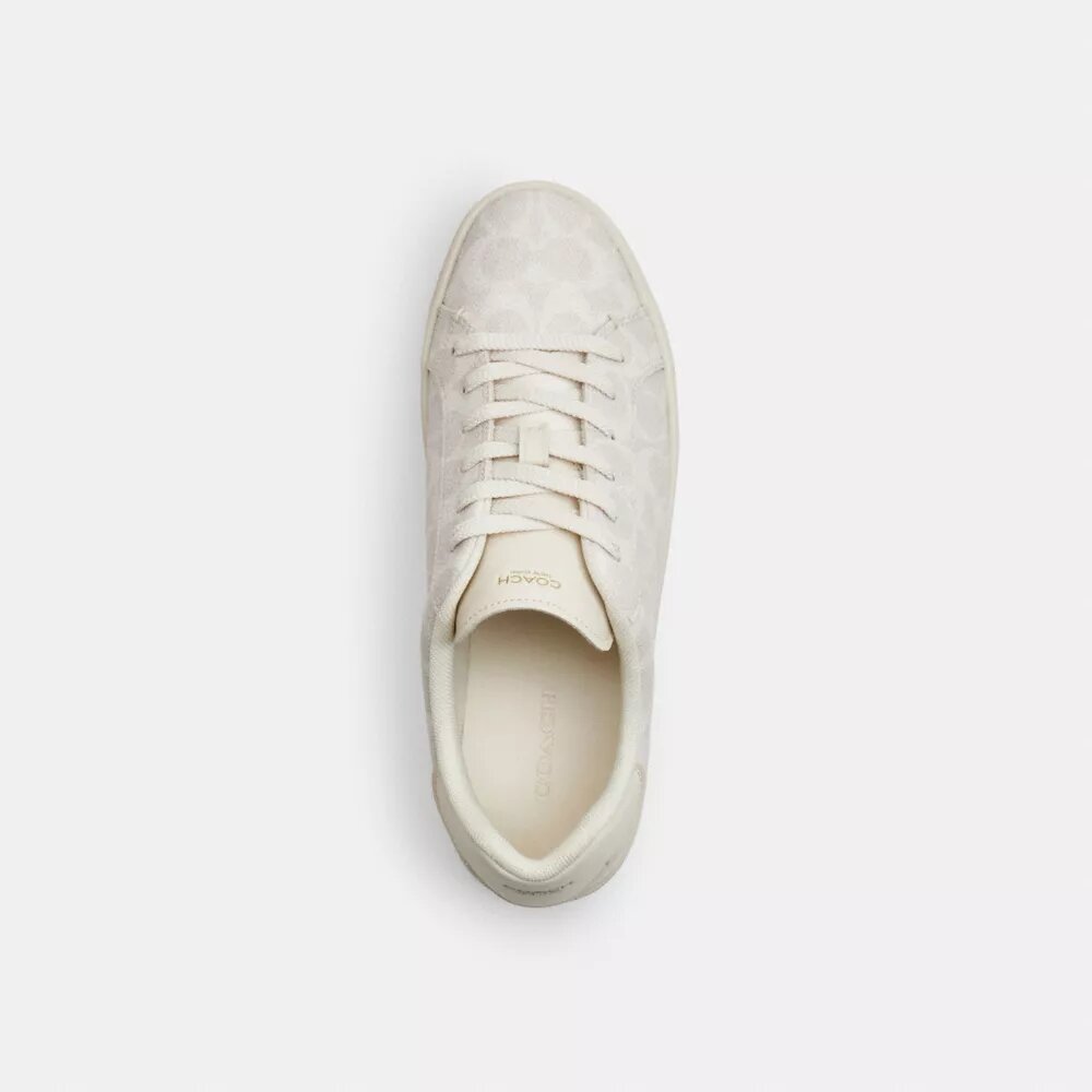 Høye sneakers i Signature Canvas