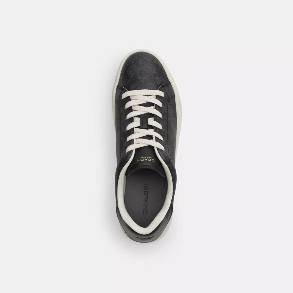 Høye sneakers i Signature Canvas