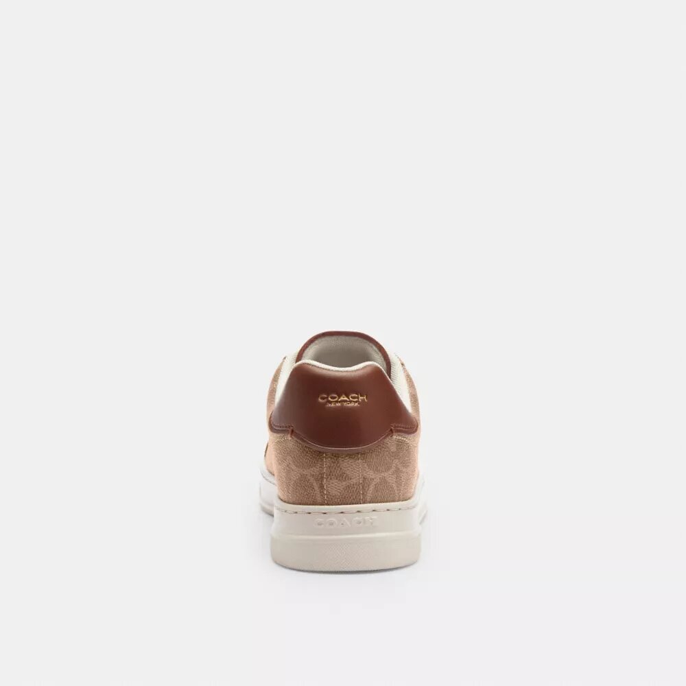Høye sneakers i Signature Canvas