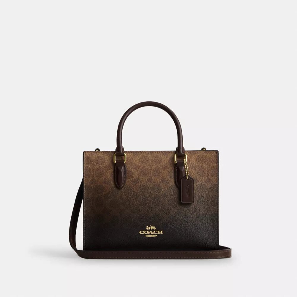 Maggie liten tote-vesker i Ombre Signature Canvas