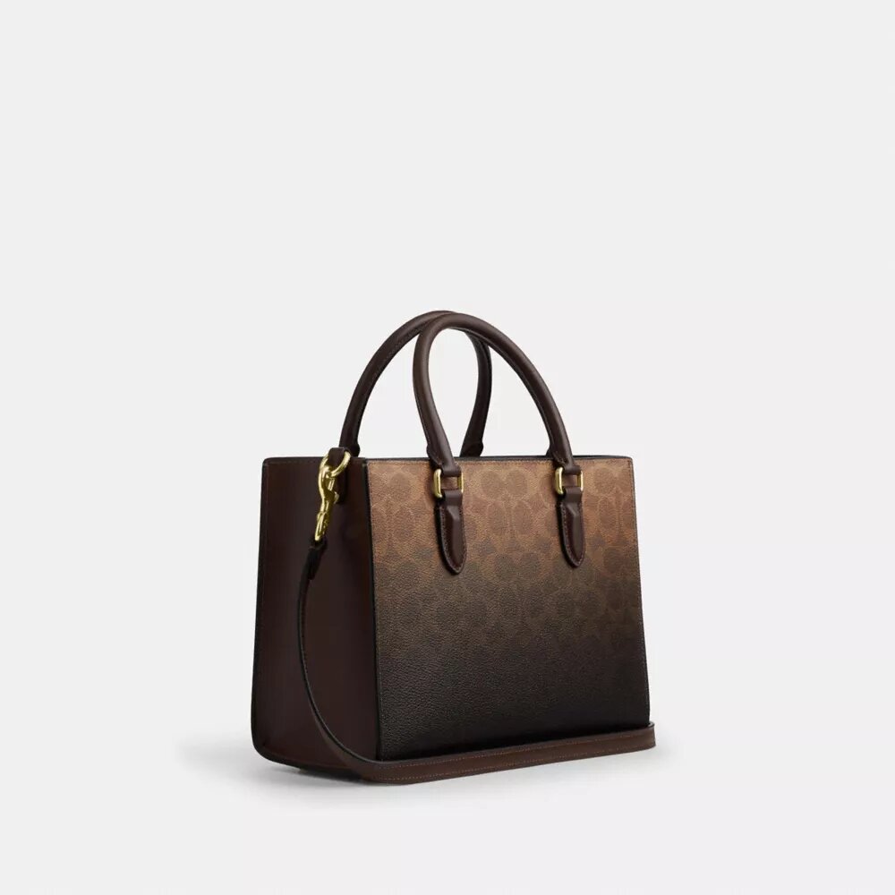 Maggie liten tote-vesker i Ombre Signature Canvas