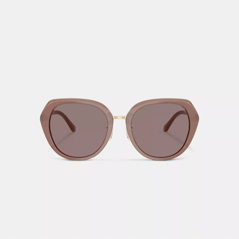 Maxi Sculpted C – store, runde solbriller