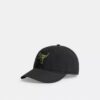 Rexy-lapp baseballcap