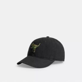 Rexy-lapp baseballcap