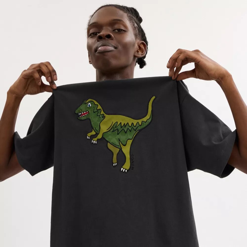 Rexy T-shirt med avslappet passform i økologisk bomull