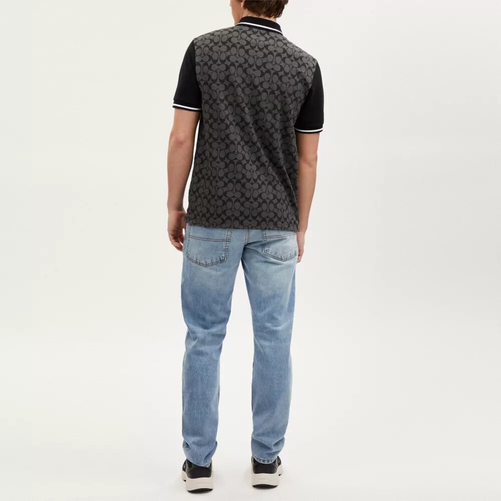 Signature Pologensere