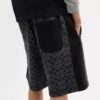 Signature Shorts
