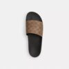 Slide i Signature Canvas