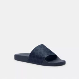 Slides