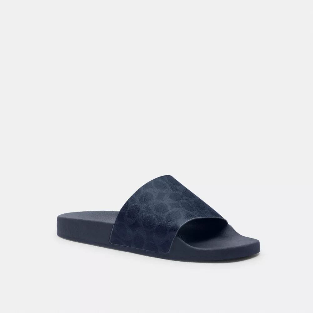 Slides