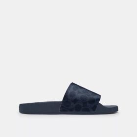 Slides