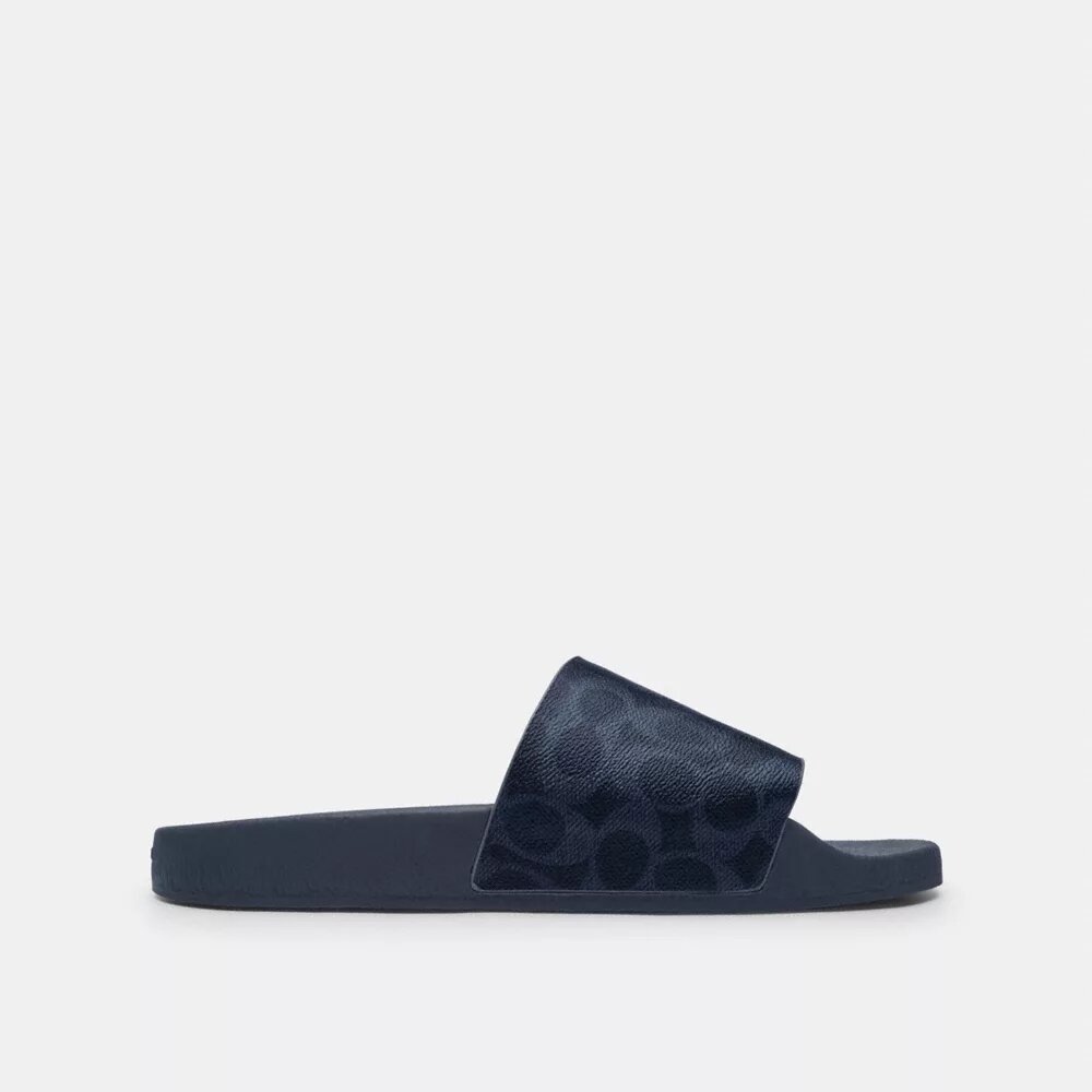 Slides