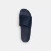 Slides