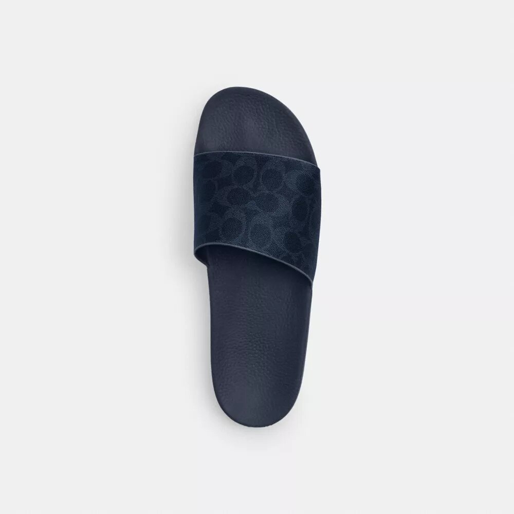 Slides