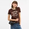 Tabby Chain Crossbody-veske 19 med vattering