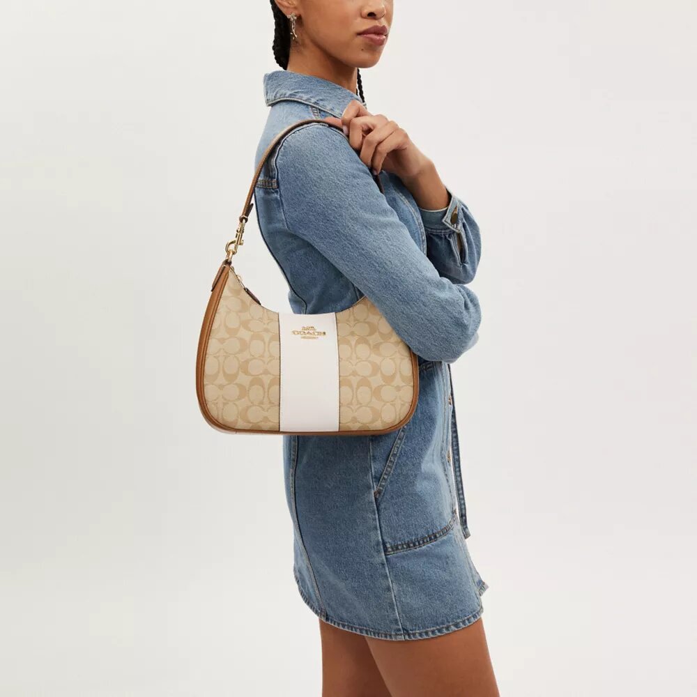Teri Hobo-veske i Signature Canvas med striper