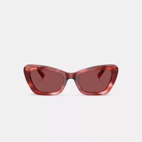 Wire Cat Eye-solbriller